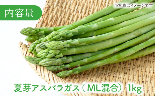 夏芽アスパラガス1kg(MLサイズ混合) アスパラガス アスパラ 野菜 新鮮 夏野菜 あすぱらがす あすぱら