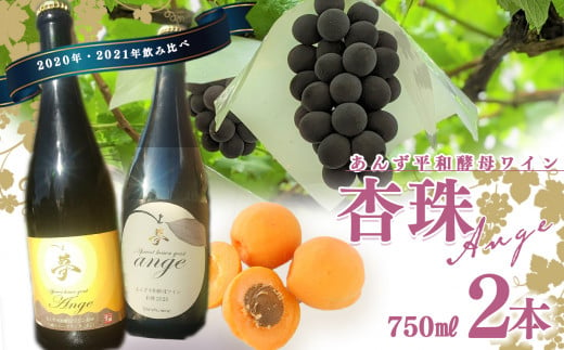 ワイン 飲み 比べ セット あんず 酵母 811551 - 長野県千曲市