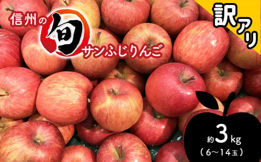 訳あり サンふじ りんご 約3kg (6～14玉）長野県産 - 長野県千曲市