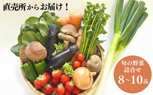 直売所からお届け！　旬の野菜セット（8～10品詰め合わせ）　新鮮な野菜直送便