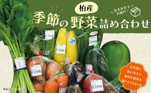 【柏産】季節の野菜詰め合わせBOX 378647 - 千葉県柏市