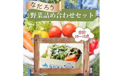 直売所・JAほこた なだろうの「鉾田市産野菜の詰合わせセット」 250724 - 茨城県鉾田市