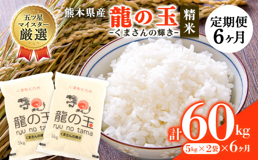 FKK19-560 【6か月定期便】龍の玉(くまさんの輝き) 10kg(5kg×2) 667983 - 熊本県嘉島町