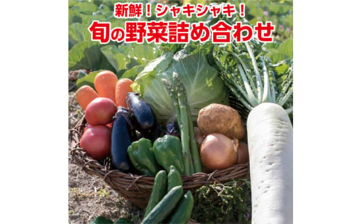 116002　旬の野菜セット 790346 - 高知県奈半利町