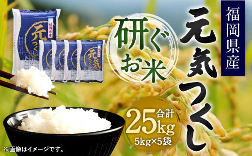 福岡県産 元気つくし 研ぐお米 25kg お米 ご飯 米