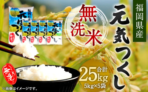 令和4年産】福岡県産 元気つくし 無洗米 25kg お米 ご飯 米 / 福岡県