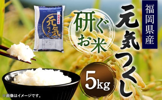 福岡県産 元気つくし 研ぐお米 5kg お米 ご飯 米