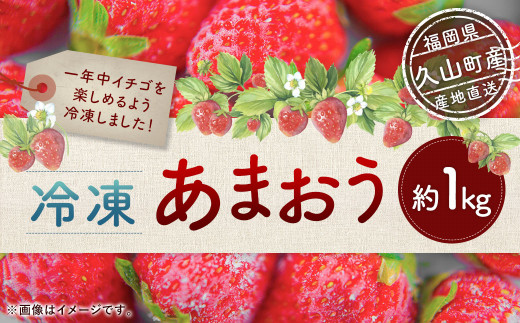 2023年4月上旬より順次発送】冷凍あまおう 約1kg 冷凍いちご 冷凍