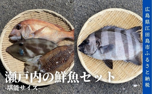 瀬戸内の鮮魚セット|堪能サイズ [XBO002] 魚 魚介 海鮮 刺身 詰め合わせ