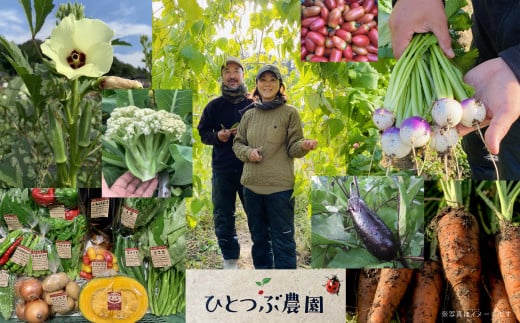 ひとつぶ農園「ときがわ有機野菜セット」  A003 768456 - 埼玉県ときがわ町