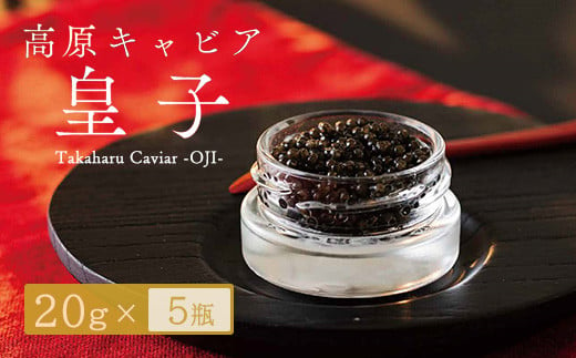 Takaharu Caviar（たかはるキャビア）『皇子』20g×5瓶セット 285506 - 宮崎県高原町