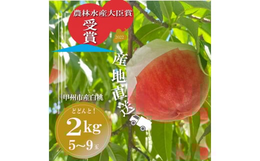 【農林水産大臣賞受賞!!】山梨県甲州市産白桃5~9玉 2kg以上(AGB)【2023年先行予約】B-876 668025 - 山梨県甲州市