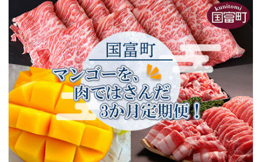 期間限定＜マンゴーを肉ではさんだ3か月定期便B＞2023年4月から第一回目を順次出荷 668796 - 宮崎県国富町