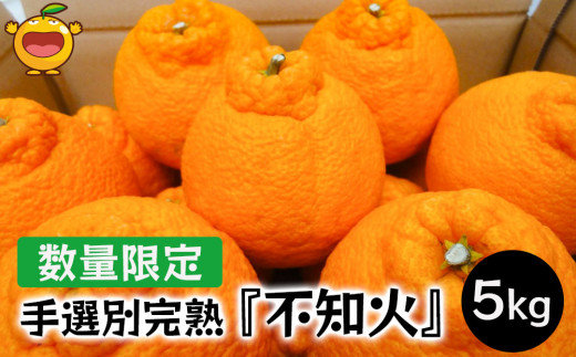 【先行予約】不知火 5kg 手選別完熟 みかん ミカン オレンジ フルーツ 柑橘類 大分県産 九州産 津久見市 国産