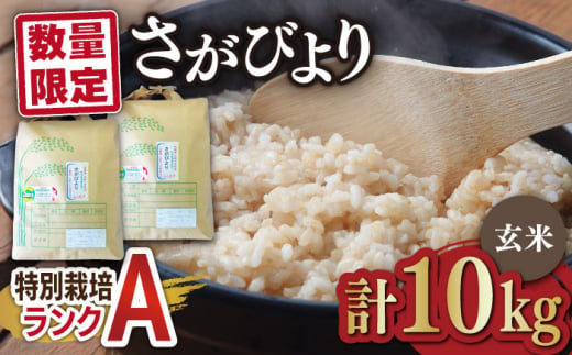 佐賀県産 特別栽培米Aランク さがびより<玄米>5kg 吉野ヶ里町/種まきの