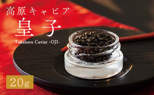 Takaharu Caviar（たかはるキャビア）『皇子』20g 284969 - 宮崎県高原町