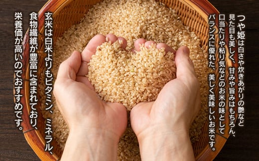 数量限定【令和5年産】新米 山形県庄内産 小池半左衛門のお米 特別栽培