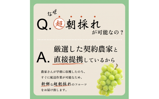 超朝採れシャインマスカット 2～3房 約1.1kg 山梨県 笛吹市 ※常温配送