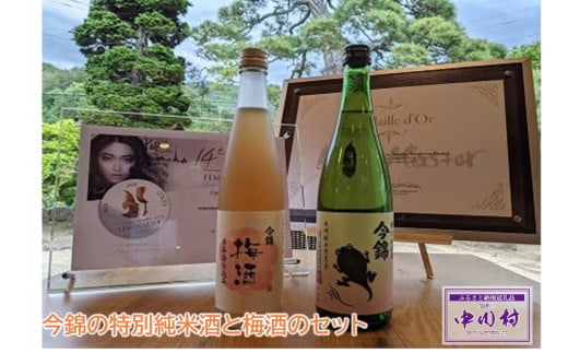 1M-28S 今錦の特別純米酒と梅酒のセット 724326 - 長野県中川村