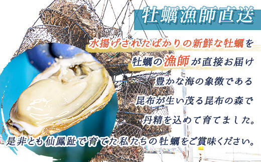 北海道 釧路町 仙鳳趾産の牡蠣