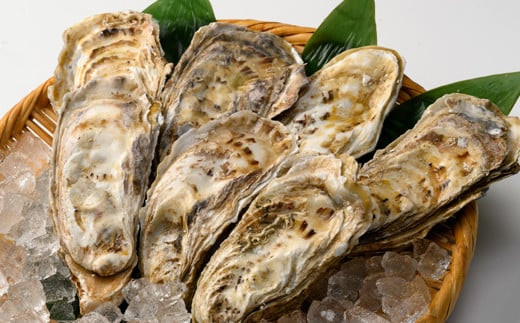 私たち漁師が獲った、新鮮な仙鳳趾名産の牡蠣を直接、お届けします。