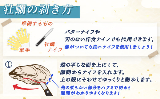 北海道 仙鳳趾名産 牡蠣 100g～149g×25コ＋かきナイフ付き かき漁師