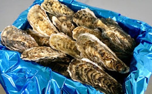私たち漁師が獲った、新鮮な仙鳳趾名産の牡蠣を直接、お届けします。