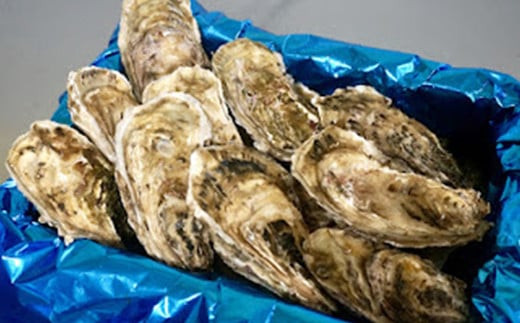 私たち漁師が獲った、新鮮な仙鳳趾名産の牡蠣を直接、お届けします。