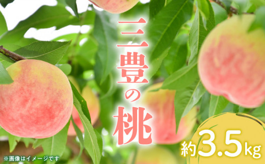 M02-0052_【先行予約】とろける果肉 「三豊の桃」 約3.5kg 245820 - 香川県三豊市