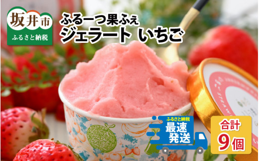 ふるーつ果ふぇ ジェラート いちご 9個入 [A-5004] 675744 - 福井県坂井市