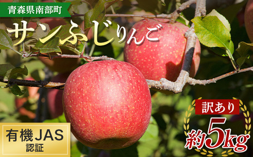 《訳あり》 有機JAS認証 サンふじ りんご 約5kg 【和楽堂りんご養生農苑】 青森りんご リンゴ 林檎  アップル 青森県 南部町 果物 くだもの フルーツ オーガニック 家庭用 F21U-287 669452 - 青森県南部町