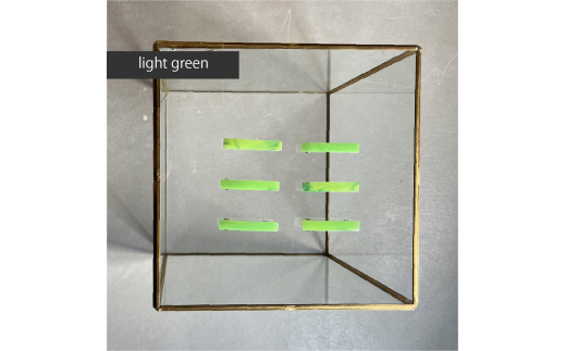 アクリル製ショートバレッタ light green(ライトグリーン) eME barretta 2 short 髪留め ヘアクリップ ヘアアクセサリー