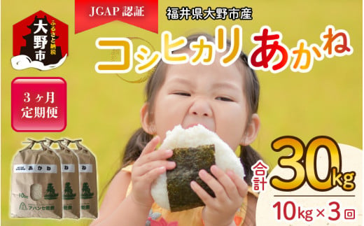 【令和5年産】【3ヶ月定期便】福井県大野市産 JGAP認証 コシヒカリ「あかね」10kg 