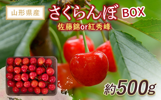 さくらんぼBOX［佐藤錦または紅秀峰］約500g  【令和5年6月下旬～発送】 南陽中央青果市場 山形県 南陽市 1203