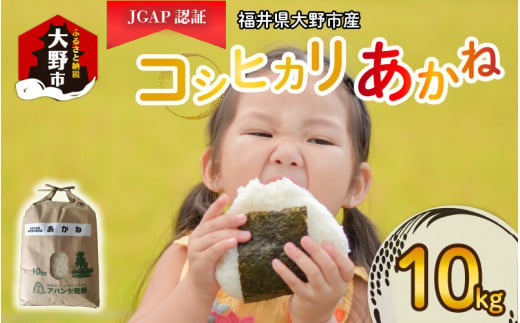 【令和5年産】福井県大野市産 JGAP認証 コシヒカリ「あかね」10kg