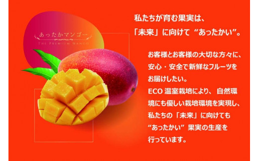 アイテムID:457442の画像5枚目