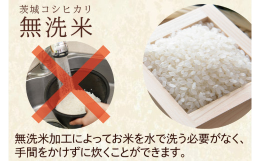 令和5年産 新米 無洗米 茨城 コシヒカリ 10kg (5㎏×２袋) 米 お米 ...