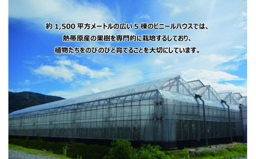 アイテムID:457442の画像7枚目