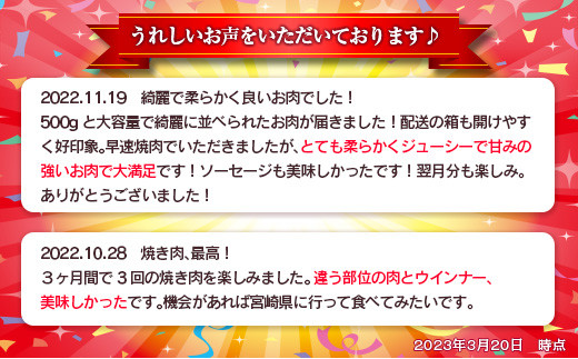 緊急支援品≪3か月お楽しみ定期便≫宮崎牛イチオシ焼肉セット＆粗挽き