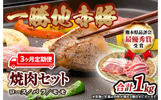 FKP9-285【3ヵ月定期】一勝地赤豚焼肉セット(1kg) 803987 - 熊本県球磨村