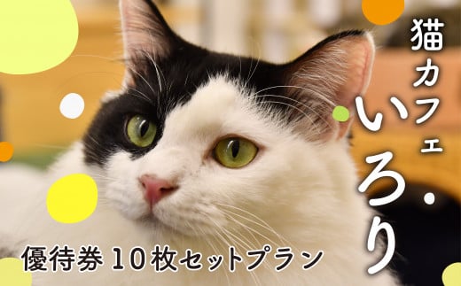 猫カフェいろり ご利用優待券（1時間分）×10枚セット ( ねこ ネコ 動物