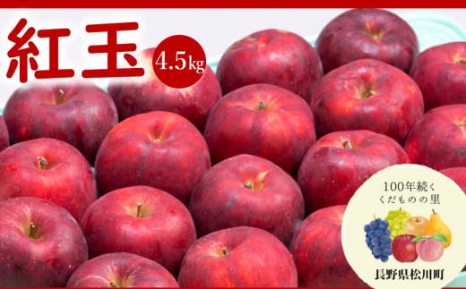AS05-24A りんご 紅玉 （松川町産）秀品 約4.5kg ／2024年10月上旬～11月上旬頃配送予定