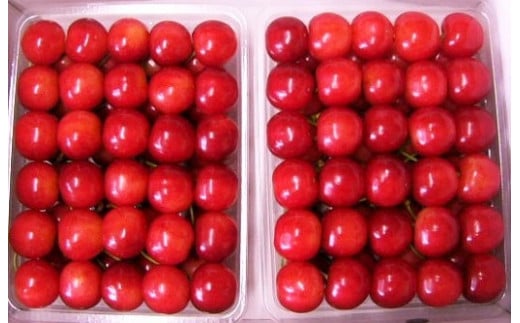 さくらんぼ（紅秀峰）７００ｇ　手詰め　特秀　２Ｌ　0015-2303