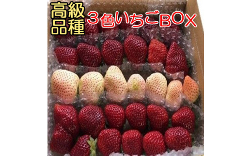 110003　高級品種3色いちごBOX（※12月下旬～4月末頃発送） 880502 - 高知県奈半利町