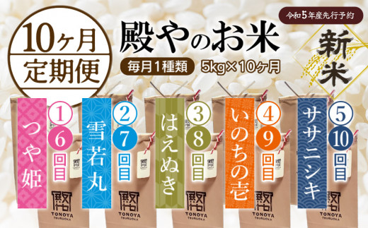 J05-001【令和5年産米先行予約】【定期便10ヶ月】殿やのお米5種類