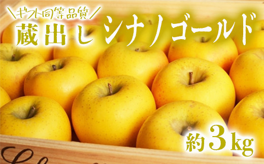 【ギフト同等品質】蔵出しシナノゴールド 約3kg リンゴ 林檎 果物 フルーツ 産地直送 常温便 送料無料 岩手県 一関市 666998 - 岩手県一関市