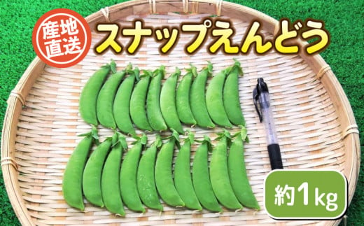 スナップ 豌豆 1kg セット 期間限定 無農薬 野菜 豆 えんどう  産地直送 下関 山口 945664 - 山口県下関市