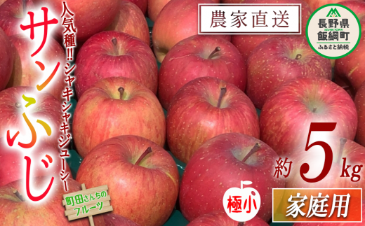 りんご サンふじ （極小） 家庭用 5kg 沖縄県への配送不可 2025年1月上旬頃から2025年2月上旬頃まで順次発送予定 町田さんちのりんご 長野県 飯綱町 [0615] 237811 - 長野県飯綱町