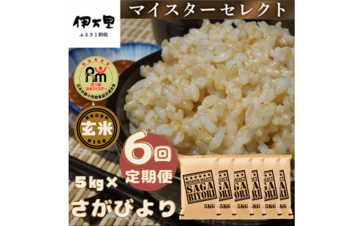 【定期便】【玄米】さがびより５kg×６回 B560 672637 - 佐賀県伊万里市