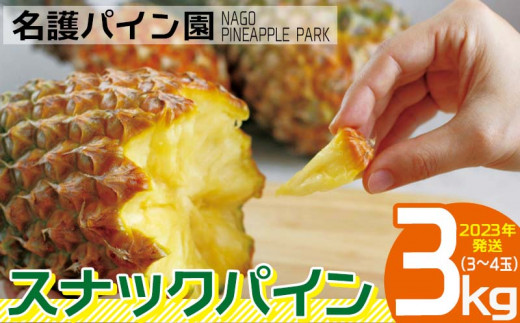【名護パイン園】　スナックパイン3kg（3～4玉）　2023年発送